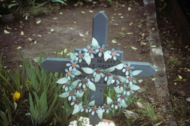 Bottle-cap flowers